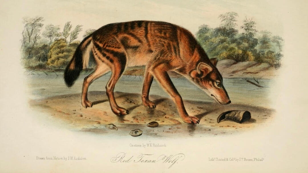 Image source: United States Fish and Wildlife Service